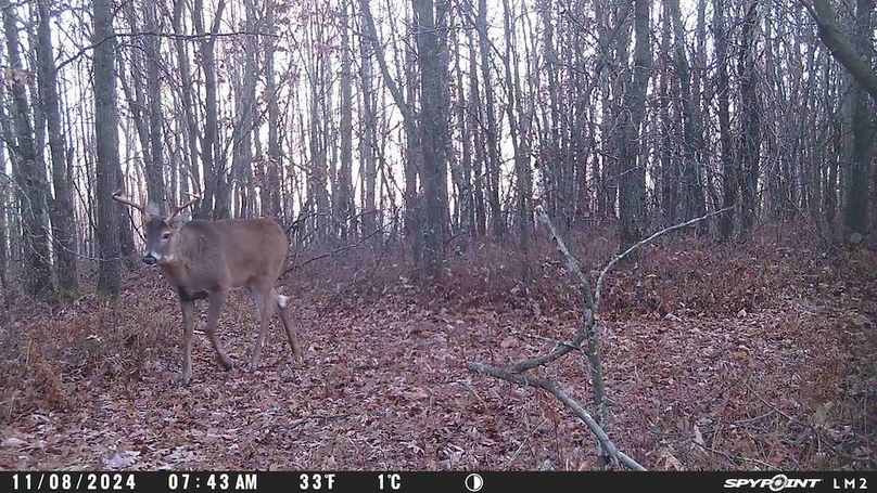 Trailcam5