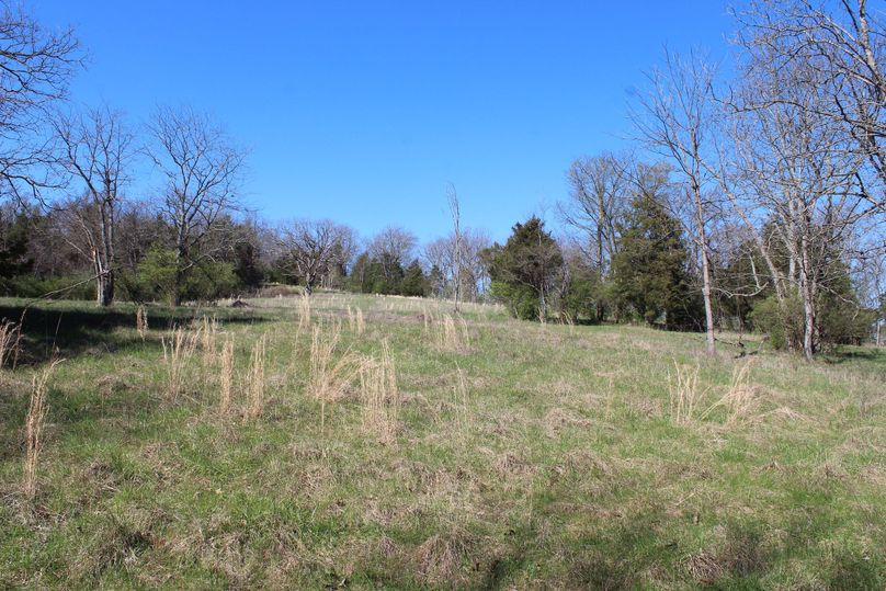 021 the larger of the upper field areas near the center of the property