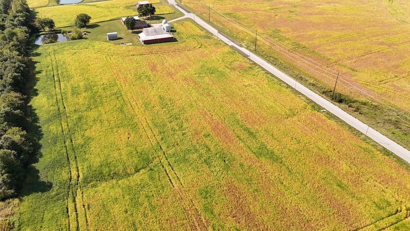 DJI_20240916112805_0055_D