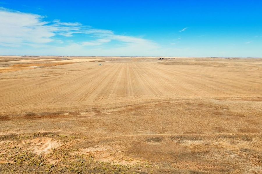 DJI_20250223123352_0134_D-HDR