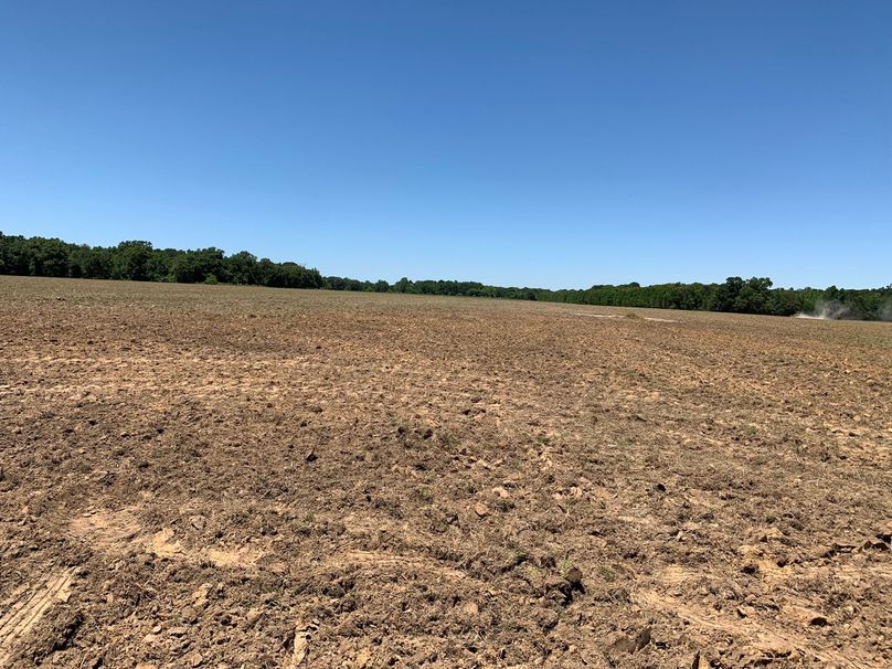 C232C9E3-164D-42DB-A697-75D3574DA59D_1_102_o