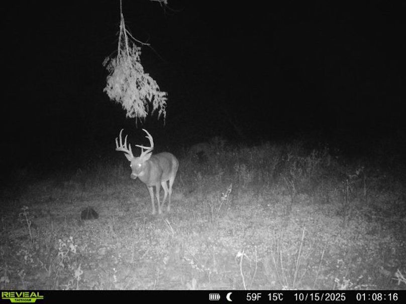 860322062550170-50-3-10152025010816-V-W1002892