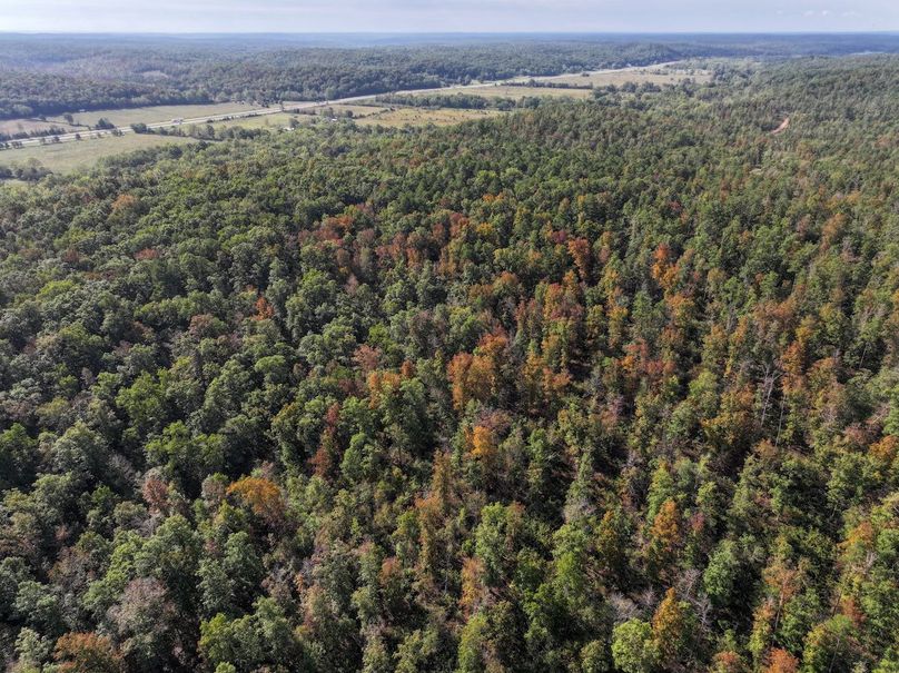 DJI_20250925100322_0696_D