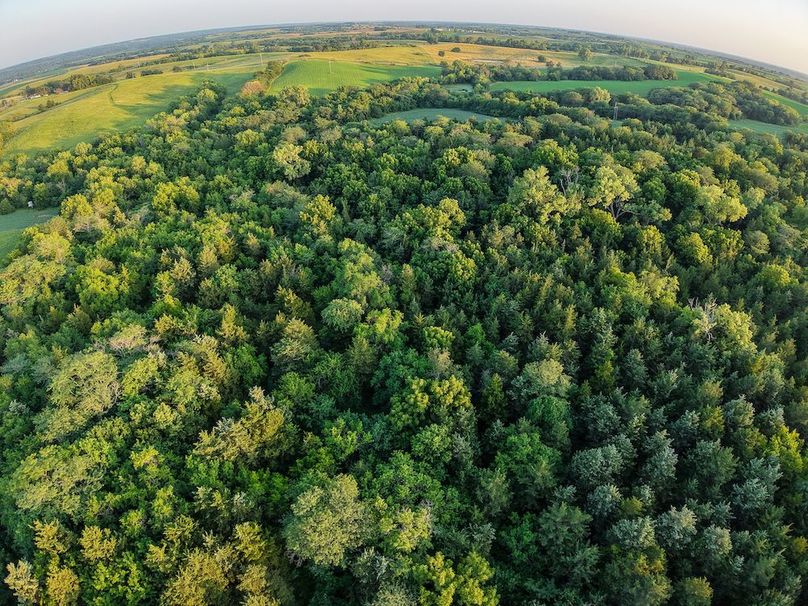 DJI_20250723200811_0411_D