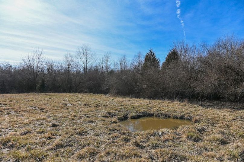 vandalia 450 (2)-1687