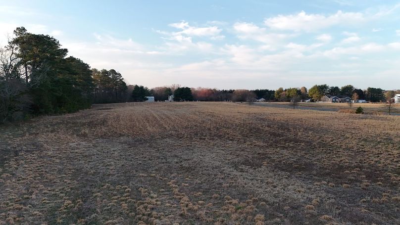 dji_fly_20260311_075810_0066_1773239669734_photo