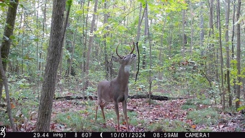 Trail Cam.24