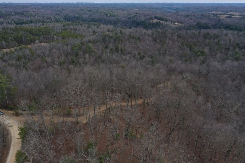 018 low elevation drone view of the road leading into the property