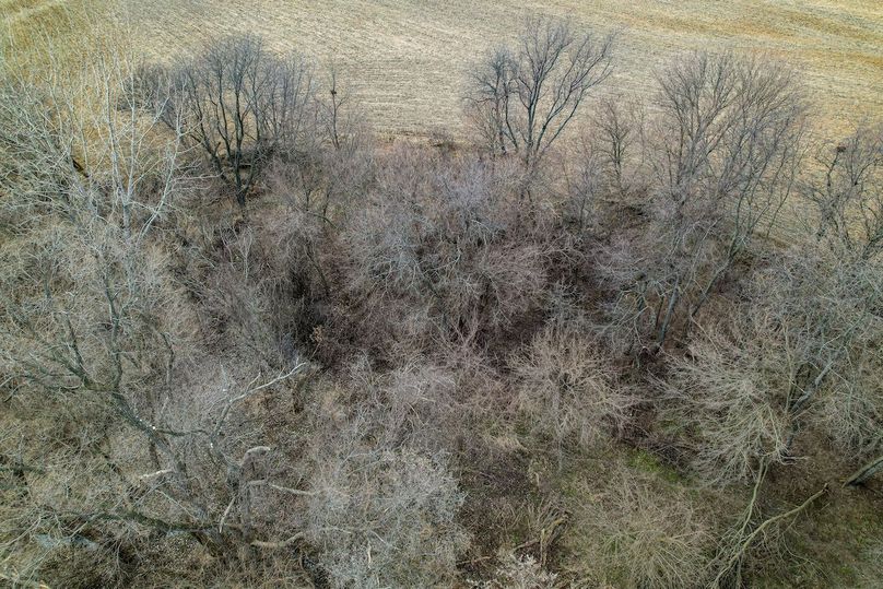 3605 Big Hill Rd.-32