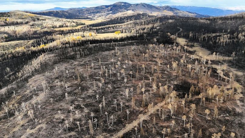 DJI_20250927085300_0112_D