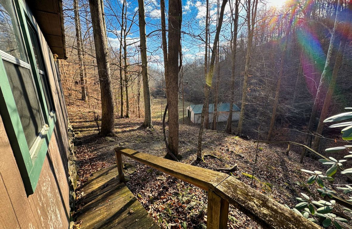 001 beautiful views from the entrance of the cabin in the head of the hollow