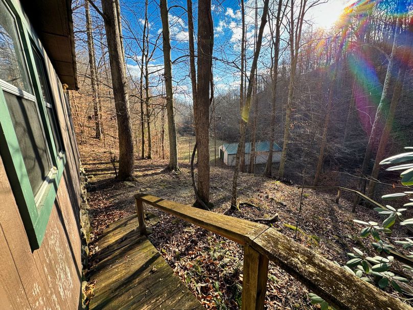 001 beautiful views from the entrance of the cabin in the head of the hollow