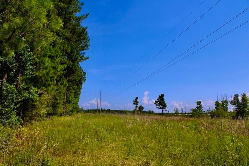 7333097C-6570-4423-85E9-D8CD293FAD4A_1_105_c