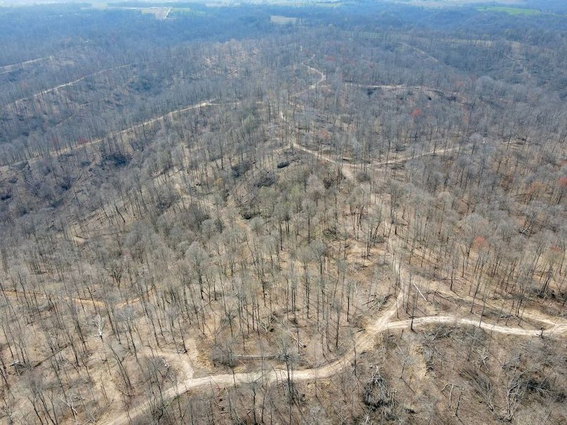 dji_fly_20240329_125258_561_1711731199021_photo