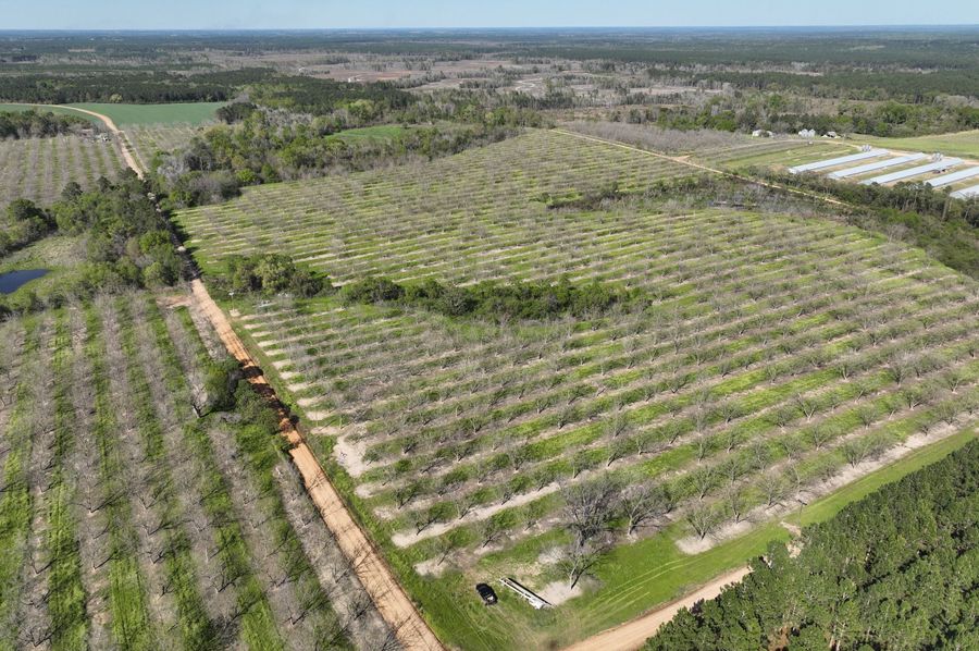 dji_fly_20230319_163156_203_1679259216132_photo