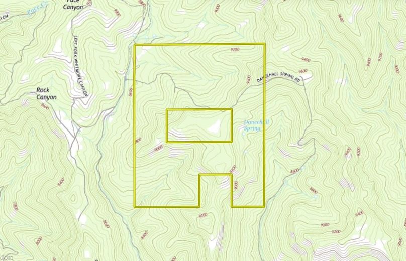 Map View