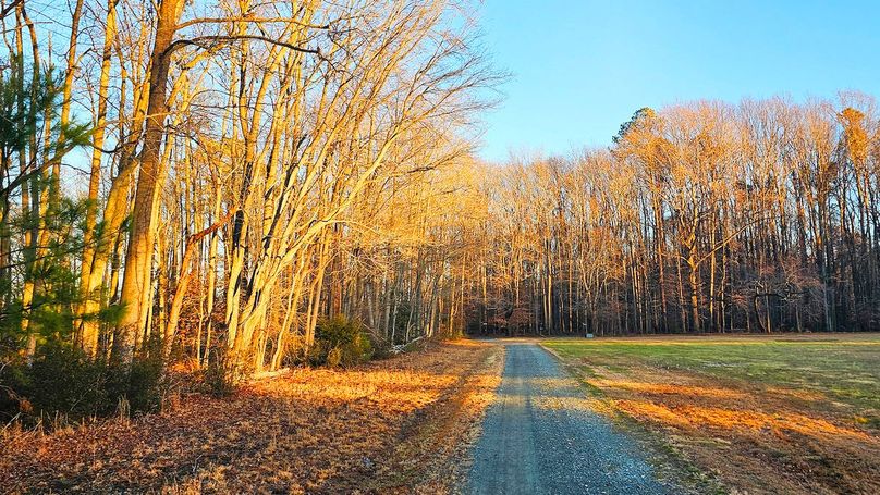 7.9ac_Hidden Creek_PIC_02