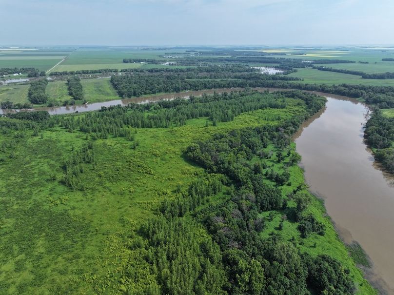 DJI_20240708111645_0217_D