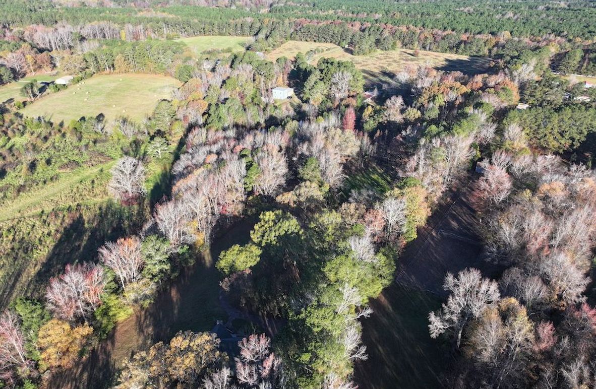 DJI_20241124090118_0204_D