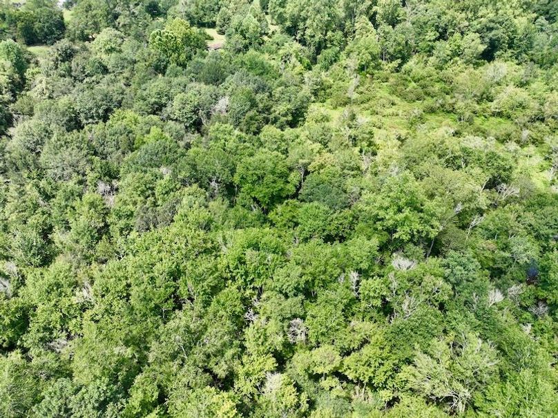 dji_fly_20250819_122400_97_1755621011713_photo