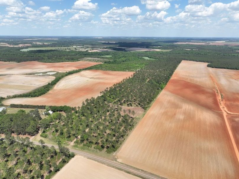 dji_fly_20260417_151408_508_1776455862060_photo