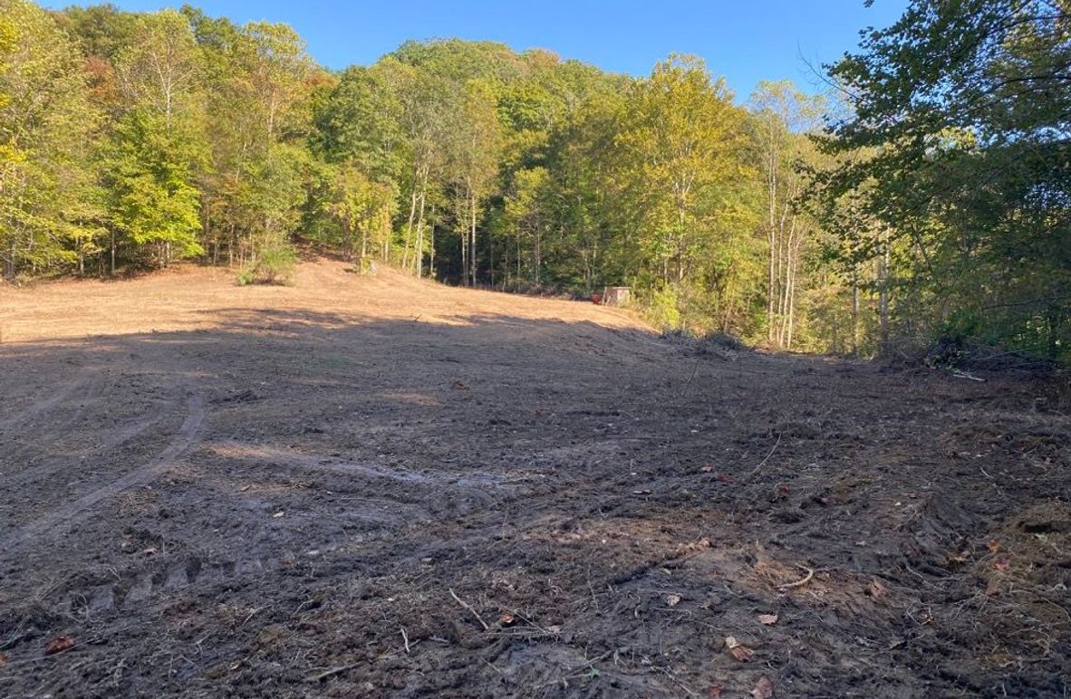 001 the open cleared field area after entering the property along the west boundary