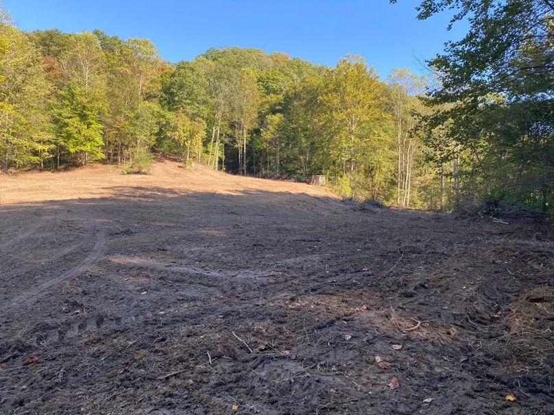 001 the open cleared field area after entering the property along the west boundary