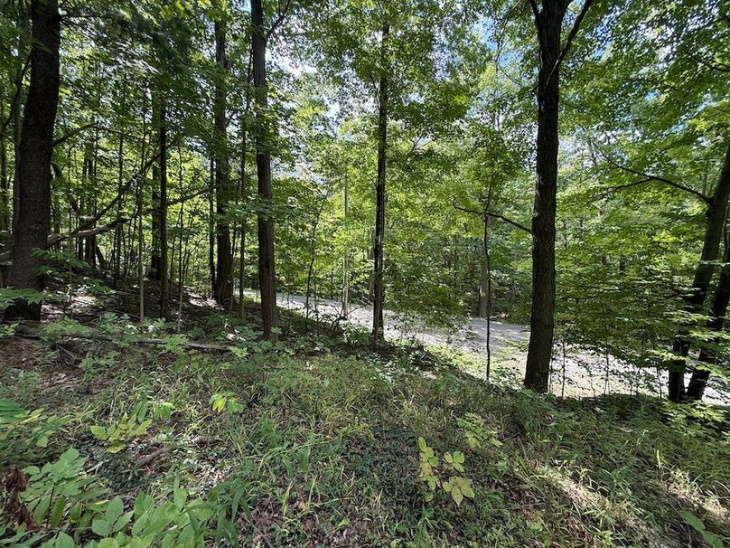 Ontario_2.7_Proseus Photo 24