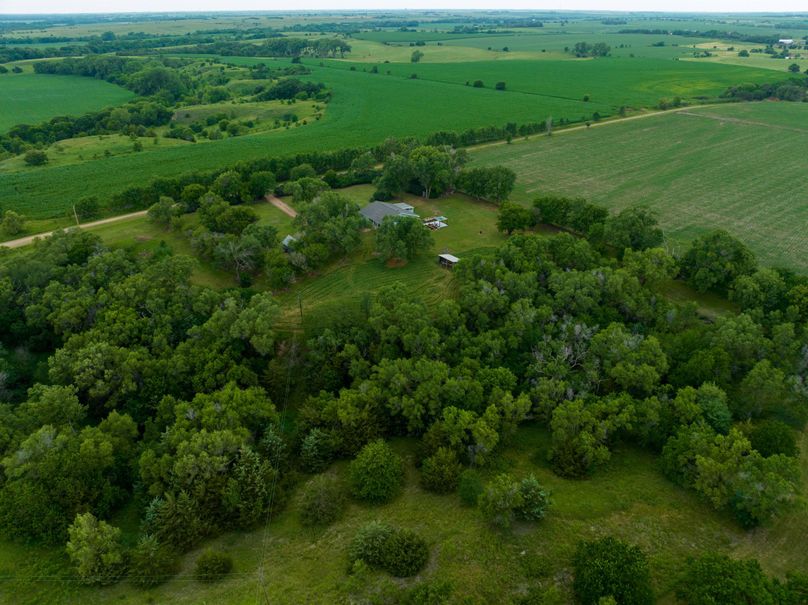 20230629-DJI_0719