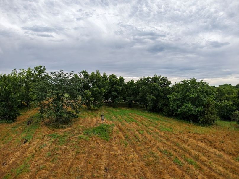 DJI_20250630073046_0332_D