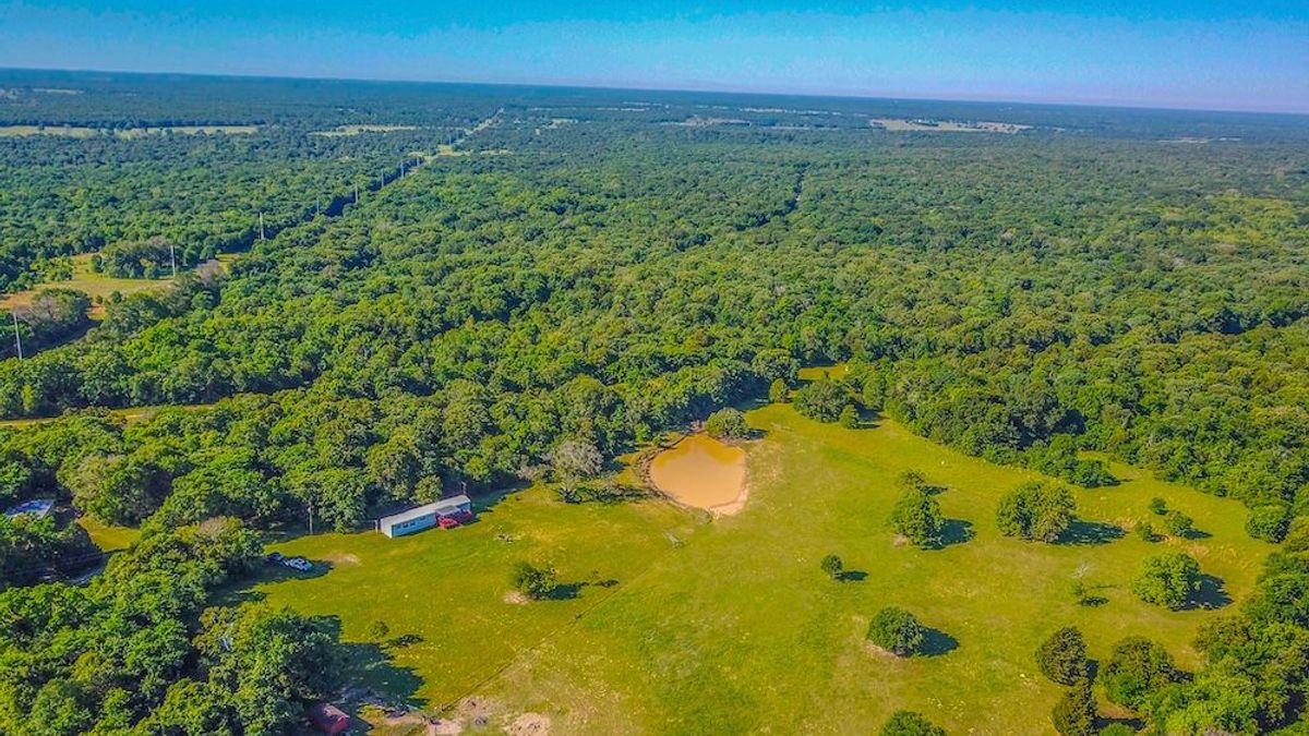 Tehuacana Sands Ranch Whitetail Properties