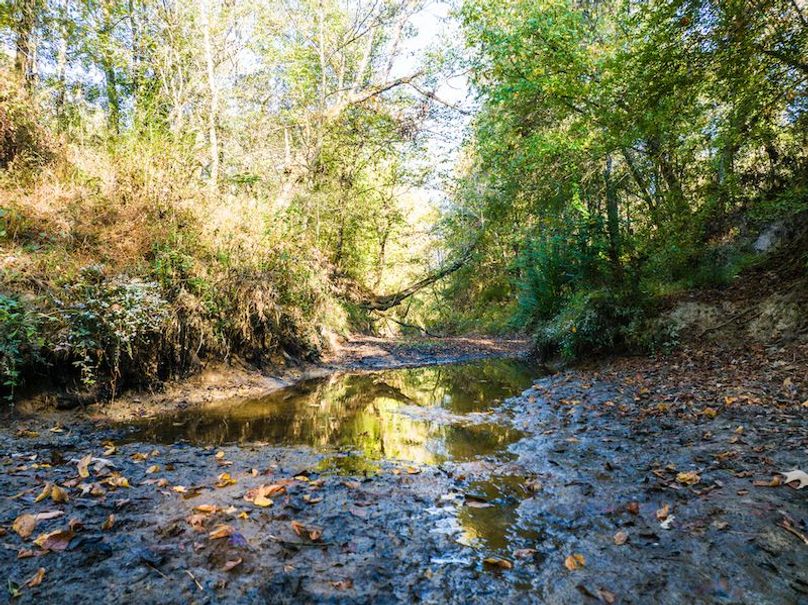 Clay 302.7 Henderson-19