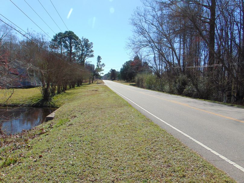 Timber Tract On The Pasquotank River Whitetail Properties