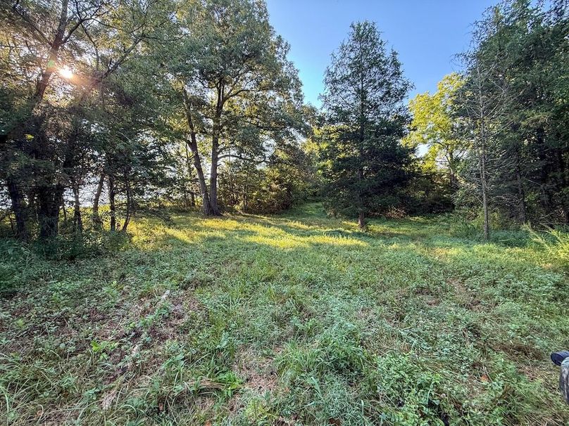 Fleming 32.98 new pic -10