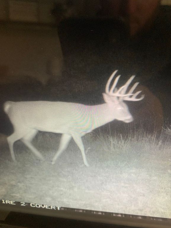 65721518181__9B133411-C7F3-4B61-9C6C-AE5A94C9C70F