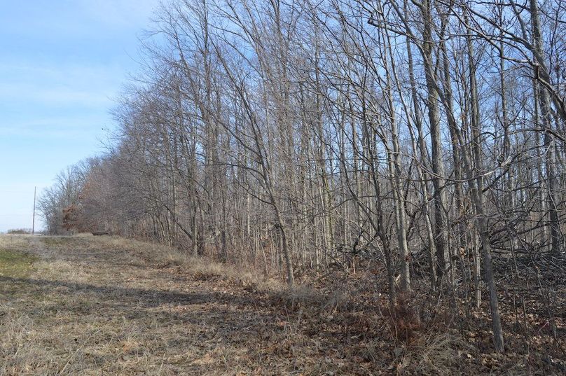 west property line looking north