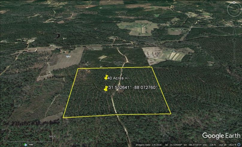 Aerial #2 Approx. 40 Acres Washington County, AL