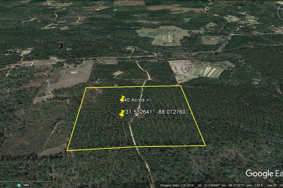 Aerial #2 Approx. 40 Acres Washington County, AL