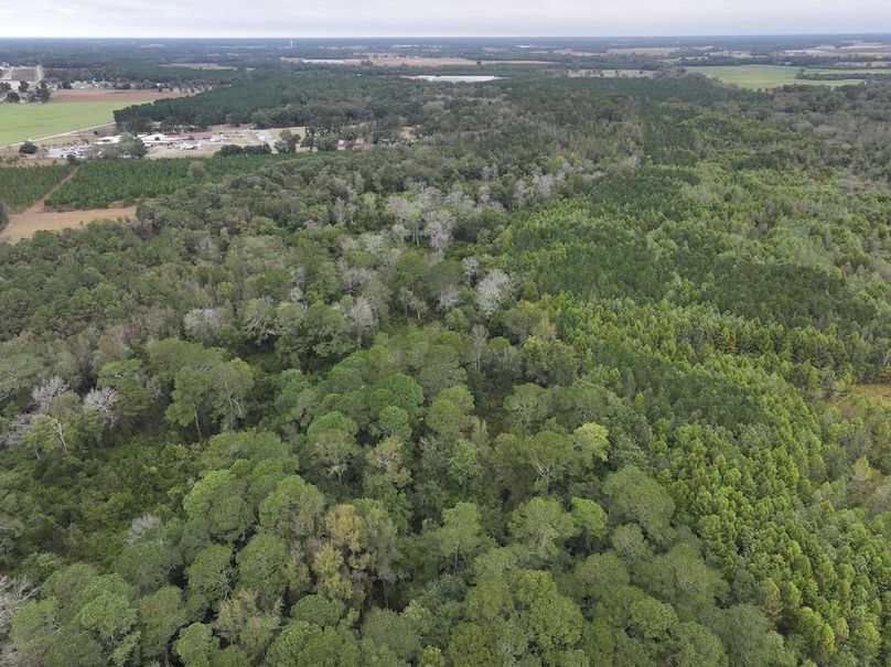 DJI_20251015091821_0143_D