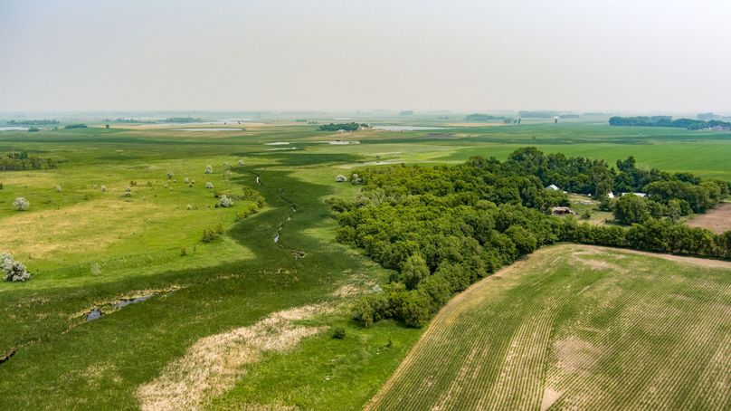 12. creek and tree grove