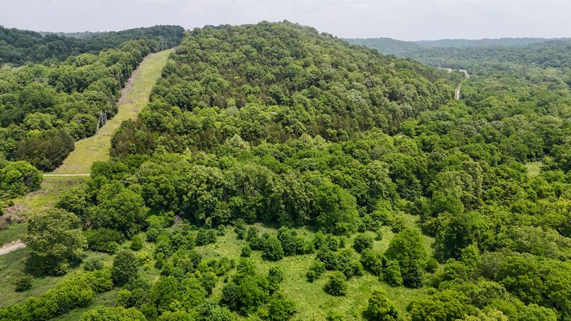 DJI_20250604132524_0010_D