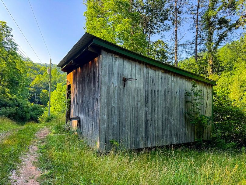 Wirt, WV 145.69 AC 273 Wildflower-66