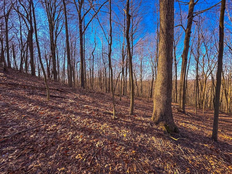 Pleasants, WV 81 AC Barron-04