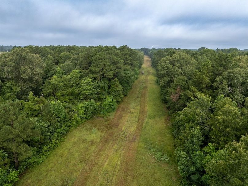 7 Panola Co. 40ac - Rouse-24