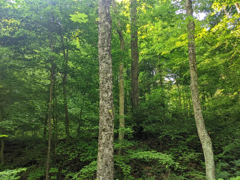 PXL_20230602_131345885