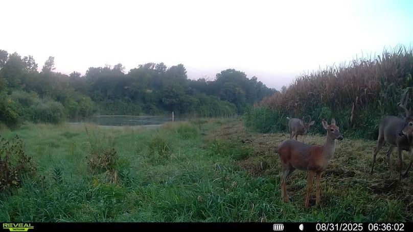 016579006920529-100-4-08312025063602-SYFW00146