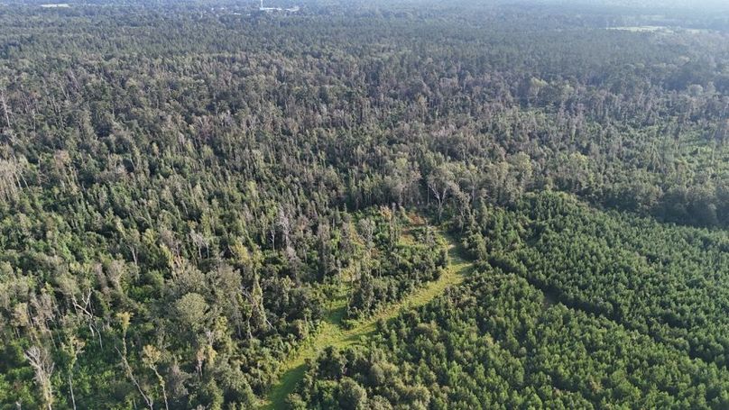 dji_fly_20250903_215802_0012_1756926963507_photo