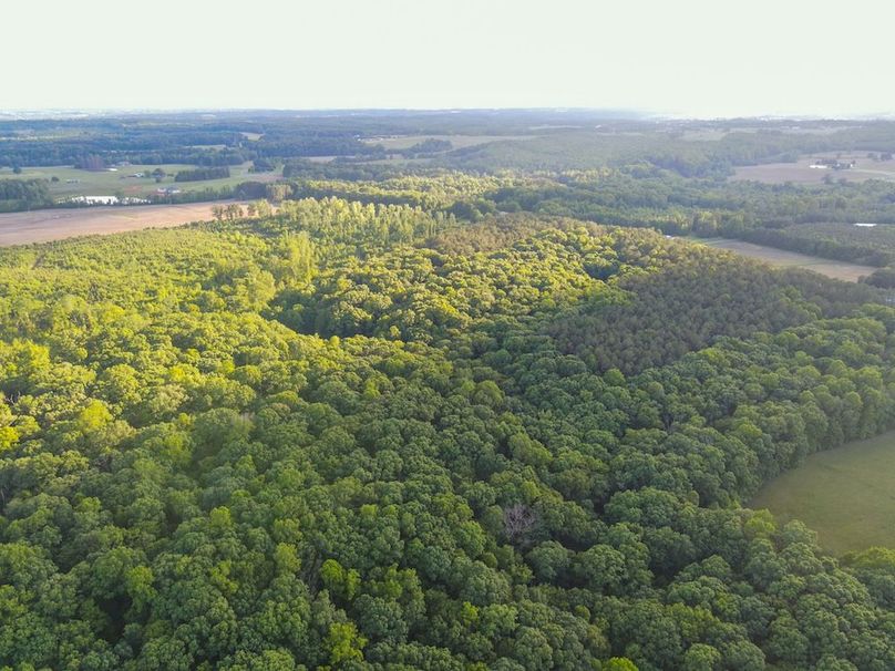 DJI_0537
