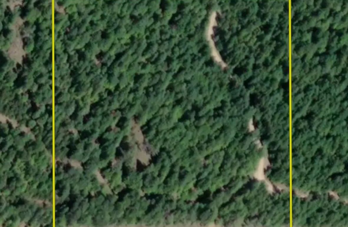 Aerial 1