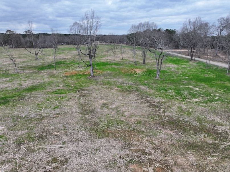 Copy of Copy of dji_fly_20260217_144442_0175_1771436896441_photo